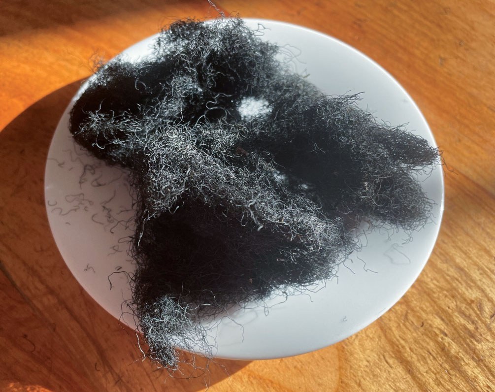 Haargemüse trocken