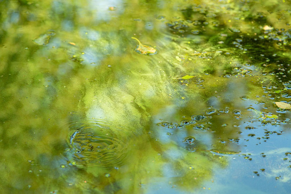 Unreines Wasser