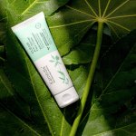 Kamedis anti blemish blatt