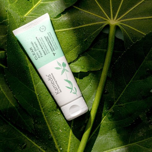 Kamedis anti blemish blatt