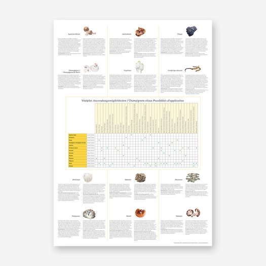Vitalpilz plakat rueckseite 1000px