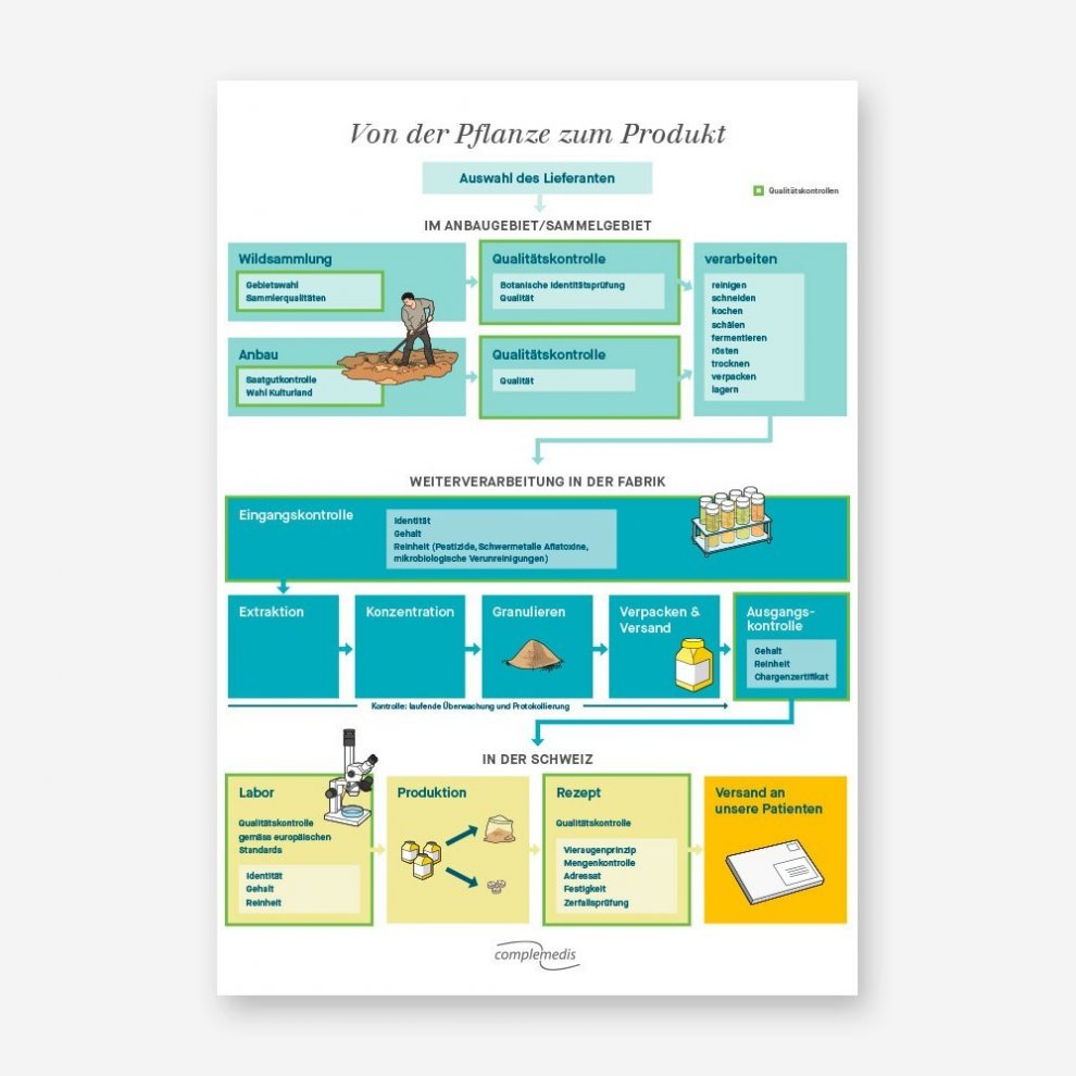 Von der Pflanze zum Produkt – Plakat Herstellungsprozess TCM Arzneimittel